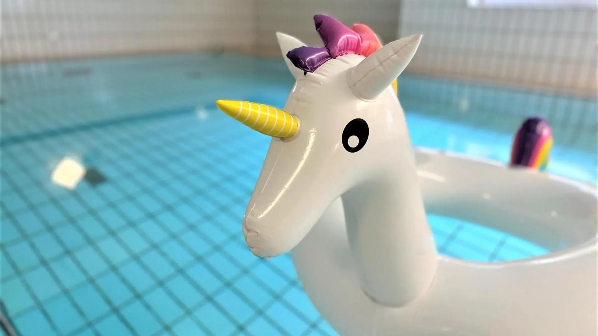 Gemuetliches Apartment Im Bayerwald Pool Sauna Netflix Zwiesel